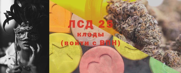 шишки Алексин