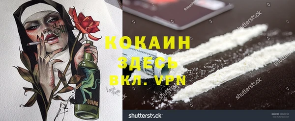 шишки Алексин